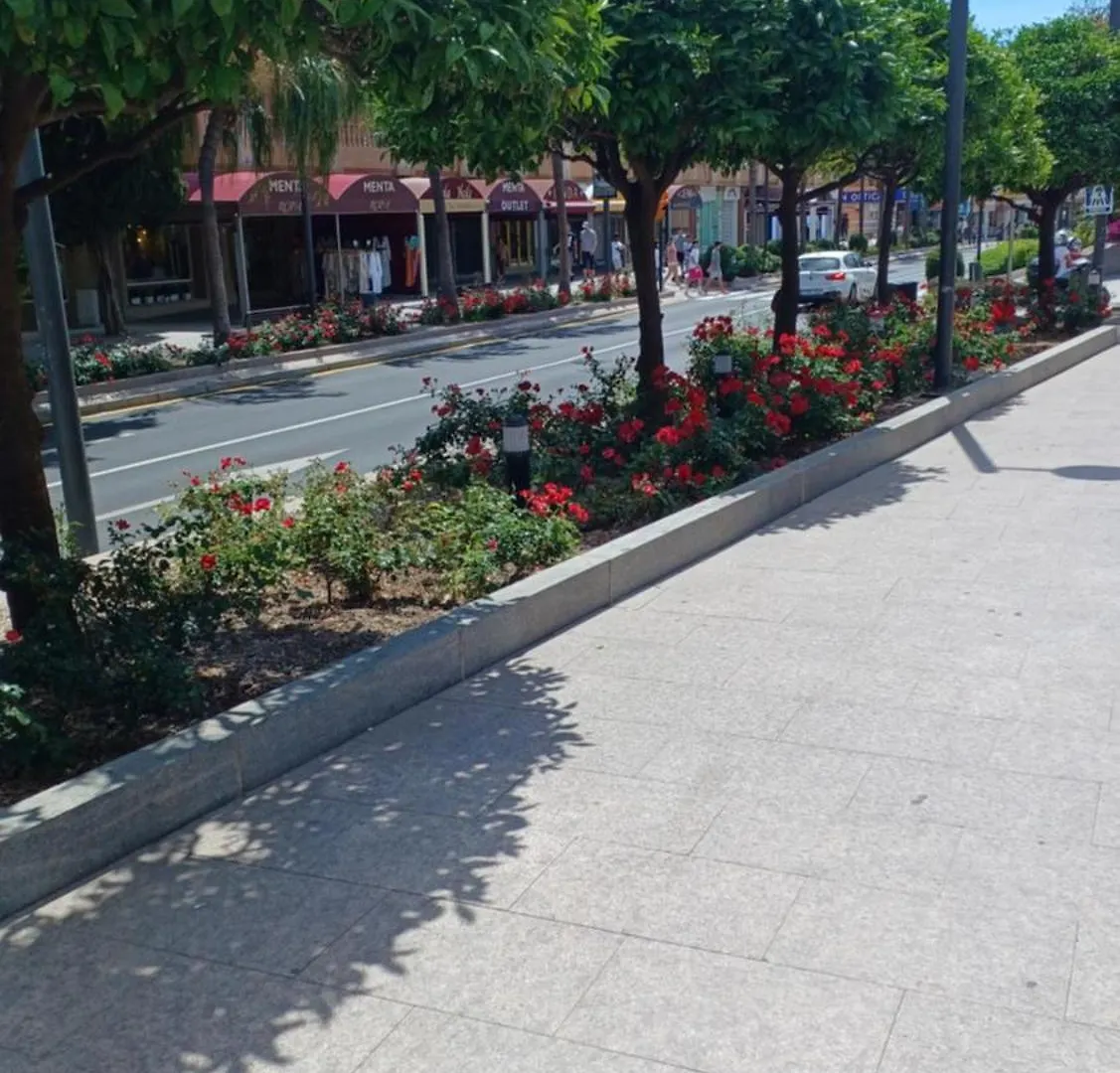 Iris 25 Apartman Benalmádena 0*,